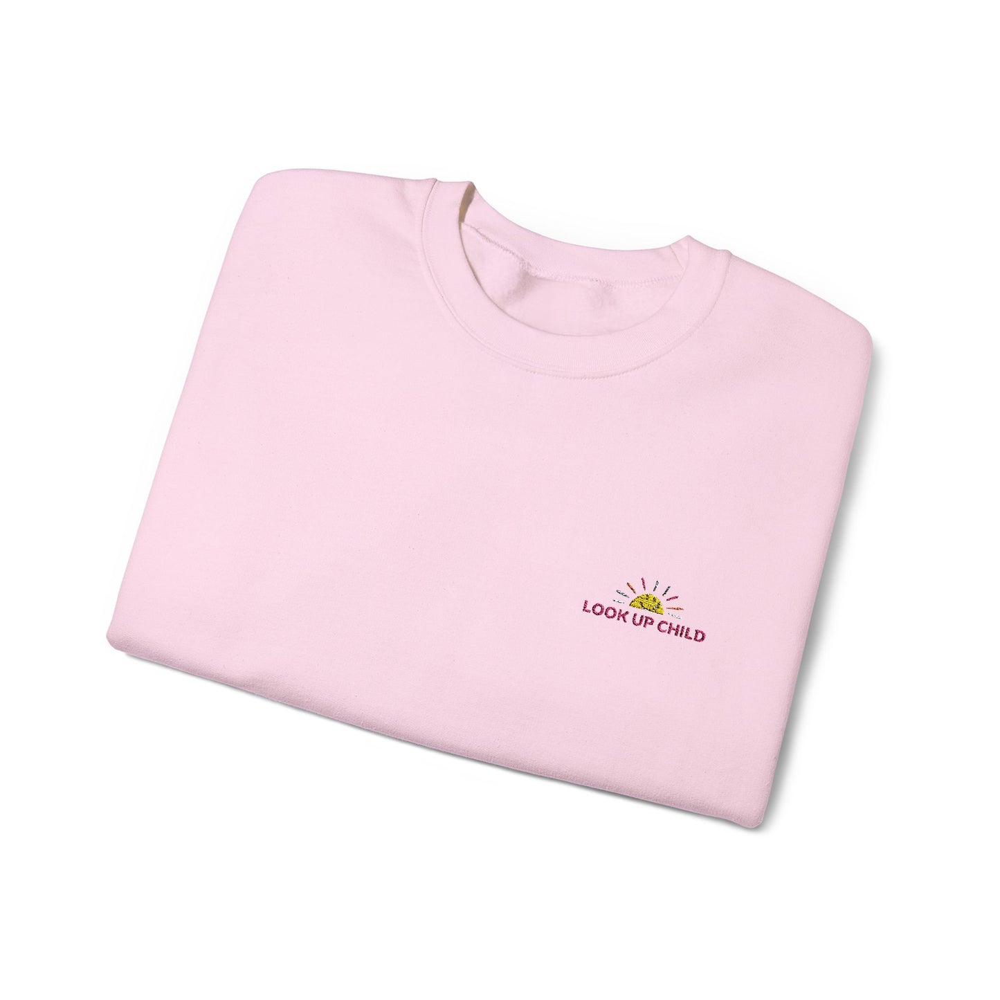 look up child embroidered crew